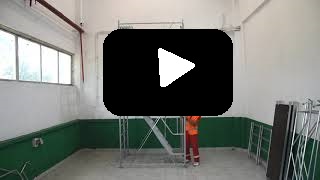 Schele acces r118 var1 video